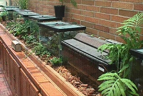 Image of the incredible Invertebrate Zoo Image of the incredible Invertebrate Zoo