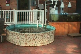 Bell lab touch tank Bell lab touch tank